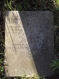 image of grave number 435139